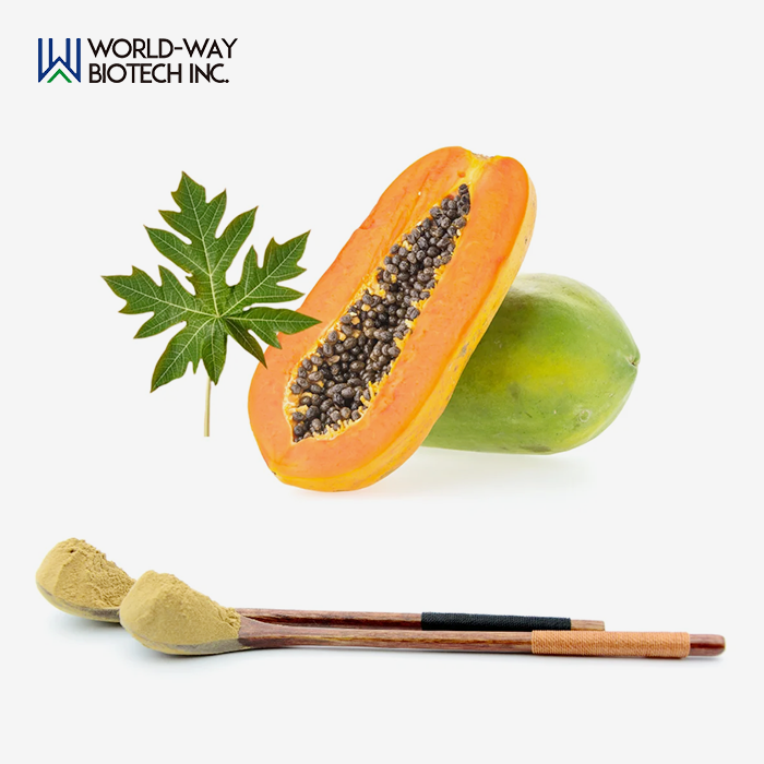 Papaya Leaf Extract Powder